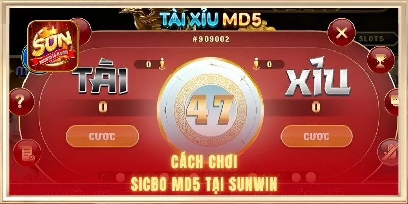 Cách chơi sicbo MD5 tại SUNWIN